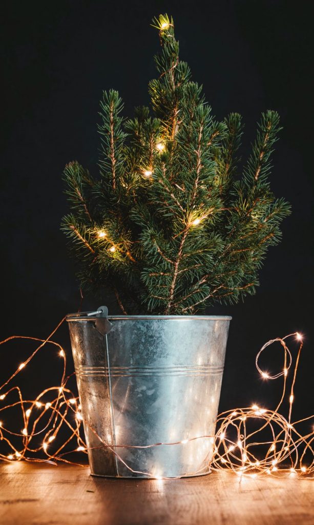 Aj minimalistický stromček môže urobiť pravú vianočnú atmosféru. Navyše si ho môžete neskôr presadiť do záhrady. Zdroj: Unsplash/Joanna Kosinska